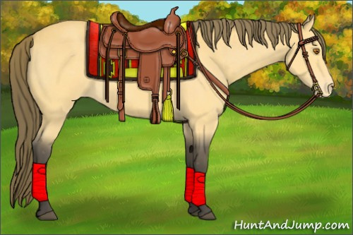 Horse Color:Buckskin Appaloosa 
