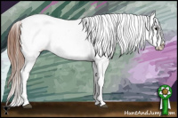 Horse Color:White Spotted Brown Tobiano Varnish
