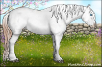Horse Color:Liver Chestnut Sabino Splash Near Leopard  and Liver Chestnut Sabino Splash Near Leopard 