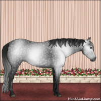 Horse Color:Gray Black 