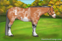 Horse Color:White Spotted Bay Frame