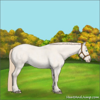 Horse Color:Smoky Creme Roan Dun 