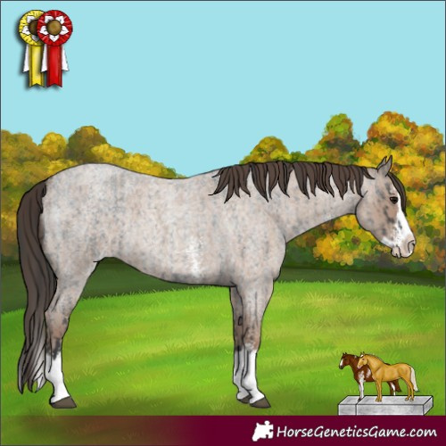 Horse Color:Blue Roan Sabino Splash and Classic Champagne Roan Sabino Splash