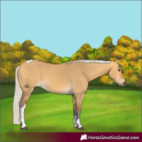 Horse Color:Silver Buckskin Dun Tobiano 