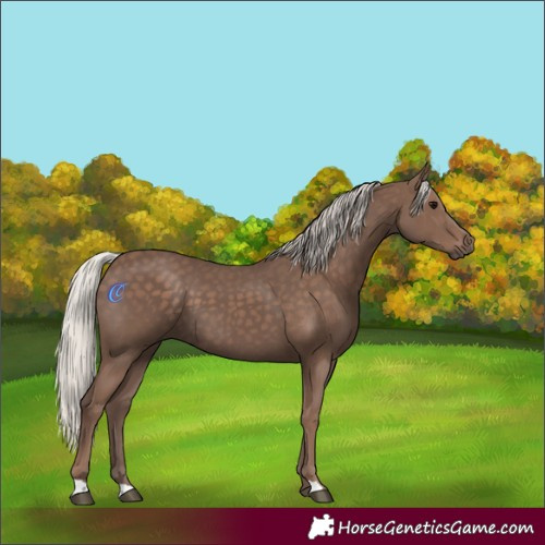 Horse Color:Silver Black 