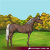 Horse Color:Silver Black 