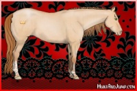 Horse Color:Brown Pearl Dun Tobiano Rabicano Brindle 