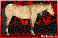 Horse Color:Buckskin Dun Tobiano Rabicano Brindle