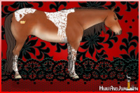 Horse Color:Brown Tobiano 