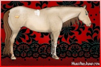 Horse Color:Smoky Grullo Pearl Tobiano Rabicano Brindle 