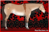 Horse Color:Brown Dun Sabino Tobiano