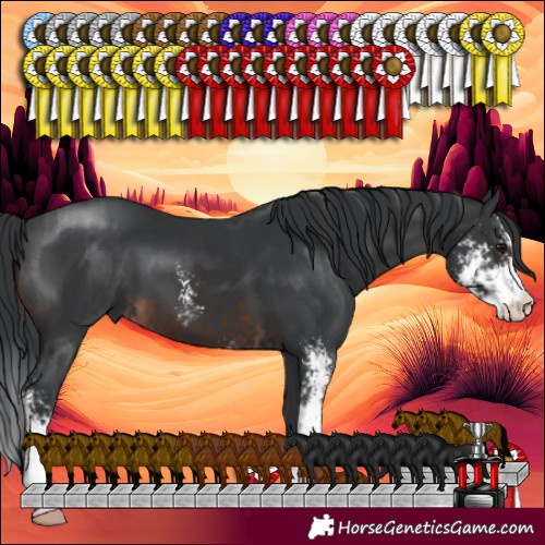 Horse Color:Black Sabino  and Brown Sabino 