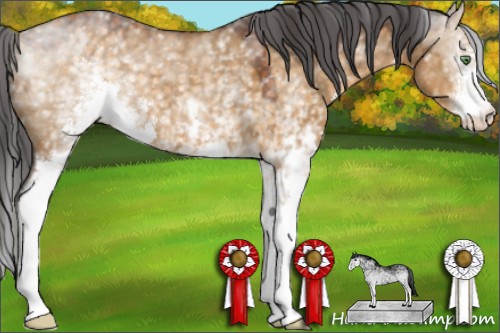 Horse Color:White Spotted Buckskin Dun Sabino