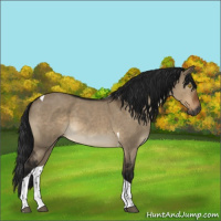Horse Color:Gray Brown Roan Dun Tobiano 