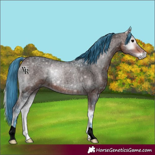 Horse Color:Void Watercolor Bay Ice Roan Onyx 