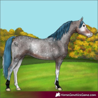 Horse Color:Void Watercolor Bay Ice Roan Onyx
