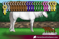 Horse Color:White Spotted Liver Chestnut Sabino Snowflake Varnish 