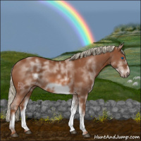 Horse Color:White Spotted Chestnut Sabino Frame 