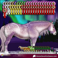 Horse Color:Watercolor Silver Brown Onyx 