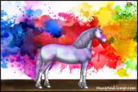 Horse Color:Watercolor Red Onyx 