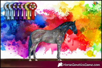 Horse Color:ERROR: UNKNOWN ANOMALY