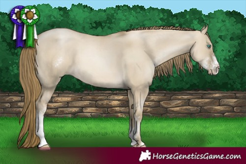 Horse Color:Smoky Grullo Pearl Sabino 