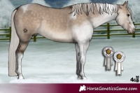 Horse Color:Silver Brown Dun Tobiano Rabicano 