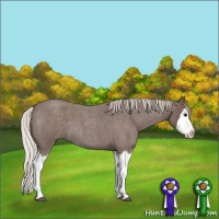 Horse Color:Silver Blue Roan Splash 