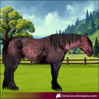 Horse Color:Void White Spotted Buckskin Dun Sabino Splash 