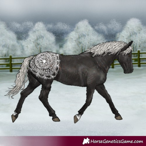 Horse Color:Liver Chestnut Mushroom 