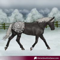Horse Color:Liver Chestnut Mushroom 