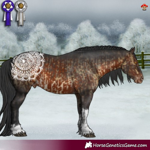 Horse Color:Buckskin Mushroom Tobiano Varnish  and Brown Mushroom Tobiano Blanket 
