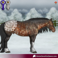 Horse Color:Buckskin Mushroom Tobiano Varnish  and Brown Mushroom Tobiano Blanket 