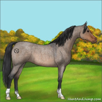 Horse Color:Brown Roan Dun 
