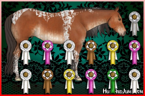 Horse Color:Brown Tobiano  and Brown Tobiano 