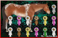 Horse Color:Brown Tobiano  and Brown Tobiano 