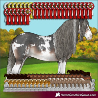 Horse Color:White Spotted Liver Chestnut Mushroom Sabino Splash