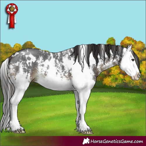 Horse Color:White Spotted Liver Chestnut Sabino Splash 