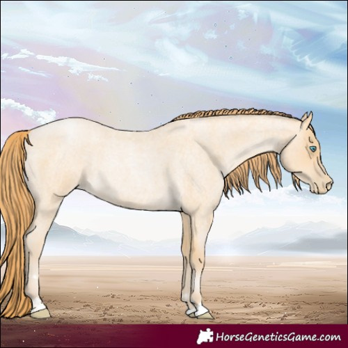 Horse Color:Buckskin Roan Pearl 