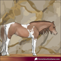 Horse Color:Black Pearl Tobiano 