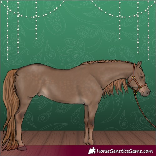 Horse Color:Liver Red Dun Rabicano 