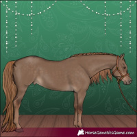 Horse Color:Liver Red Dun Rabicano 