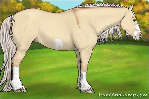 Horse Color:Silver Classic Champagne Dun Splash Frame 