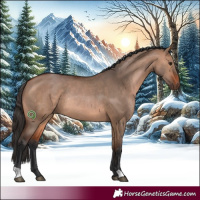 Horse Color:Bay Dun Rabicano 