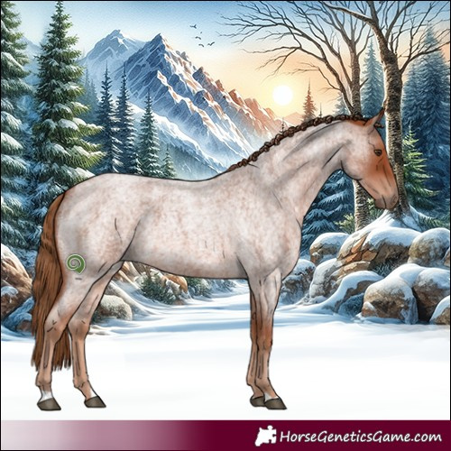 Horse Color:Red Roan 