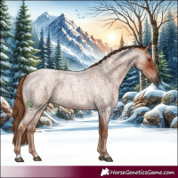 Horse Color:Red Roan 
