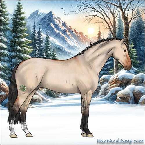 Horse Color:Bay Dun Sabino 