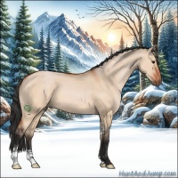 Horse Color:Bay Dun Sabino 