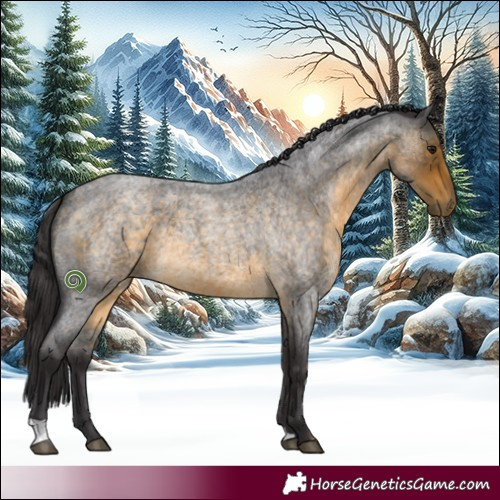 Horse Color:Buckskin Roan 