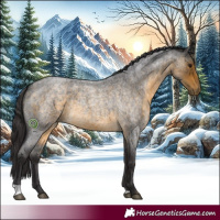 Horse Color:Buckskin Roan 